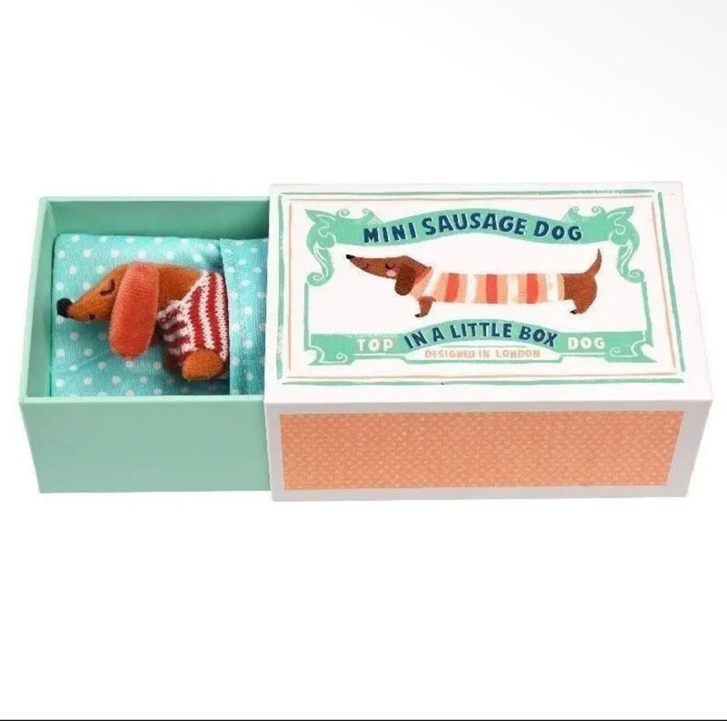 A novelty toy dog in a matchbox-style box. The open mint green box contains a small brown dachshund plush wearing a red-and-white striped sweater, set against a light blue patterned lining.