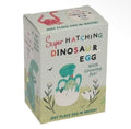 Boxed hatching dinosaur egg growing toy with colourful illustrated dinosaur design and instructions to place the egg in water.