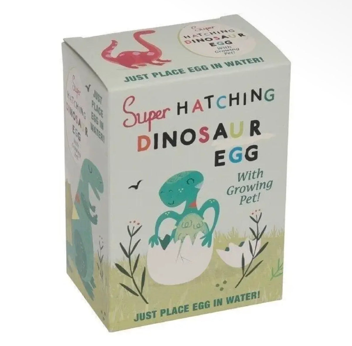 Boxed hatching dinosaur egg growing toy with colourful illustrated dinosaur design and instructions to place the egg in water.
