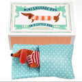 mini-sausage-dog-in-a-box