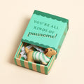Ceramic dog keepsake token wearing a green striped jumper, presented in a colourful matchbox with the message “You’re All Kinds of Pawsome”.